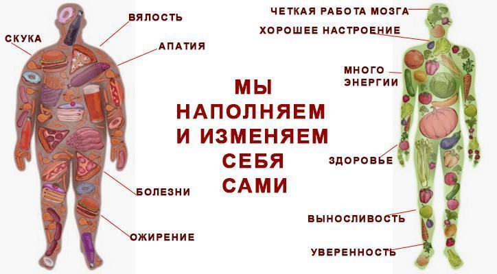 полезная еда суперпродукты здоровье генетическое