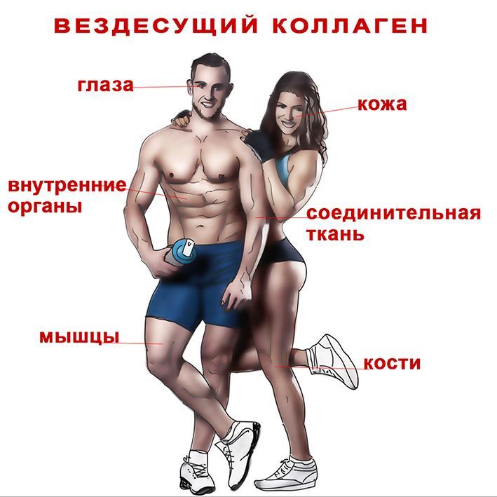 коллаген